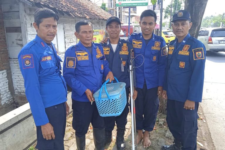 Img 20251028 wa0113