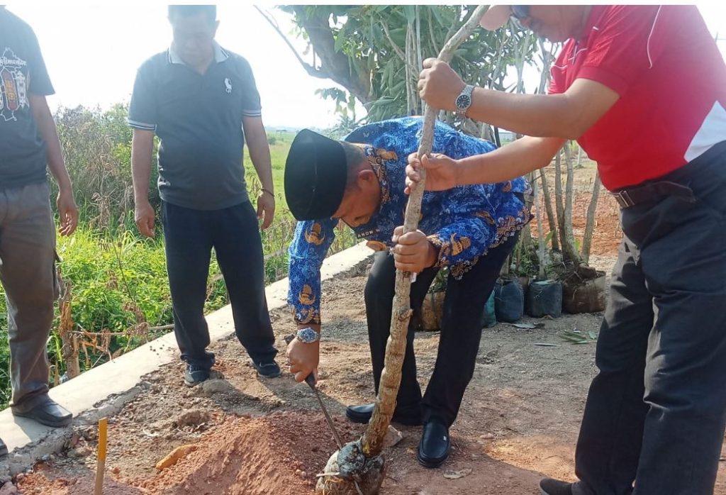 Tanam pohon