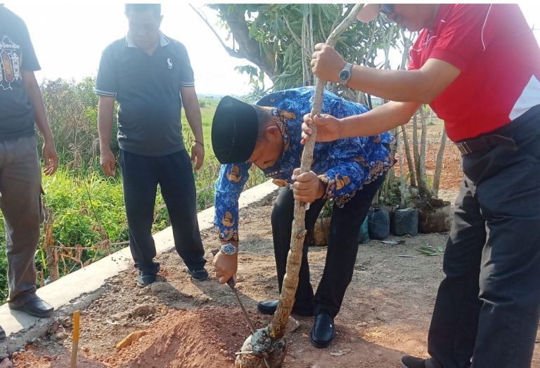Tanam pohon