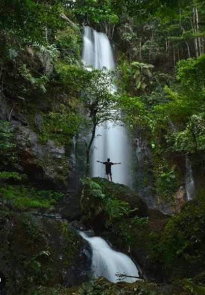 13654361369 screenshot 20250323 193255 (1)