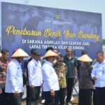 IMG 20251202 WA0157